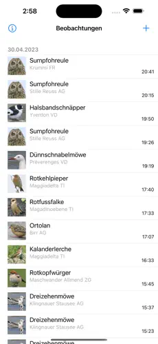 Übersicht
