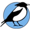 White-throated Sparrow